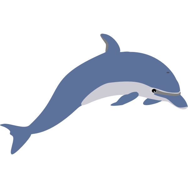 Dolphin Dolphin picture