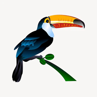 Toucan Toucan picture